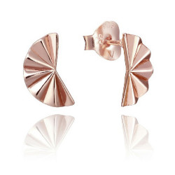 Pendientes Viceroy de plata 5045E100-07